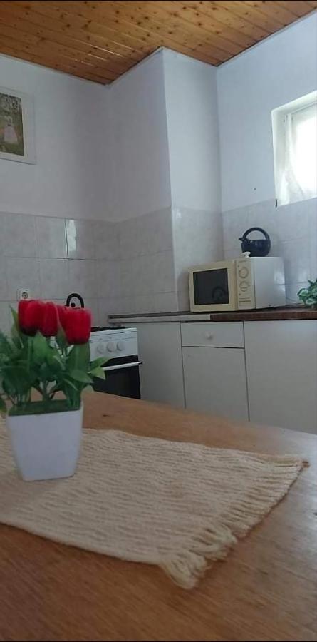Badacsonyi Pihenes Privat Berlemeny Hotel Badacsonytomaj Buitenkant foto